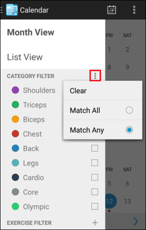 Calendar Category Filter Options